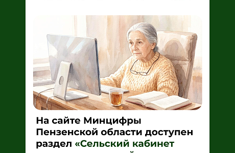На сайте Минцифры Пензенской области доступен раздел «Сельский кабинет доступности онлайн-услуг»